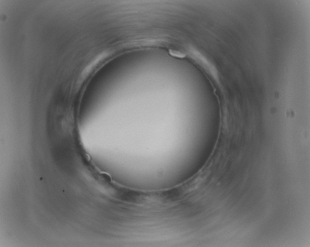 X0000076250107200610122215