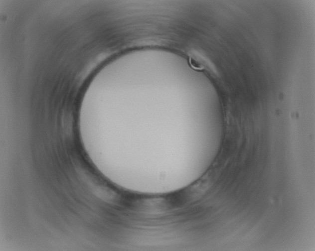 X0000076250108200610122215