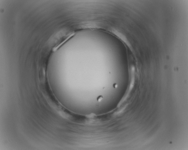 X0000076250109200610122215