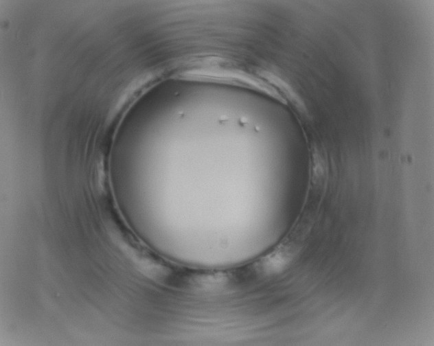 X0000076250110200610122215