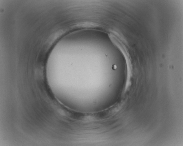 X0000076250111200610122215