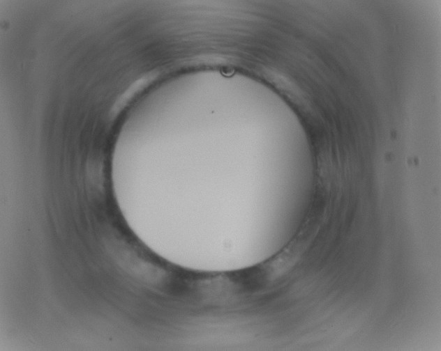 X0000076250112200610122215