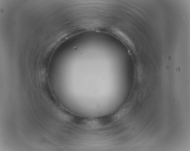 X0000076250113200610122215