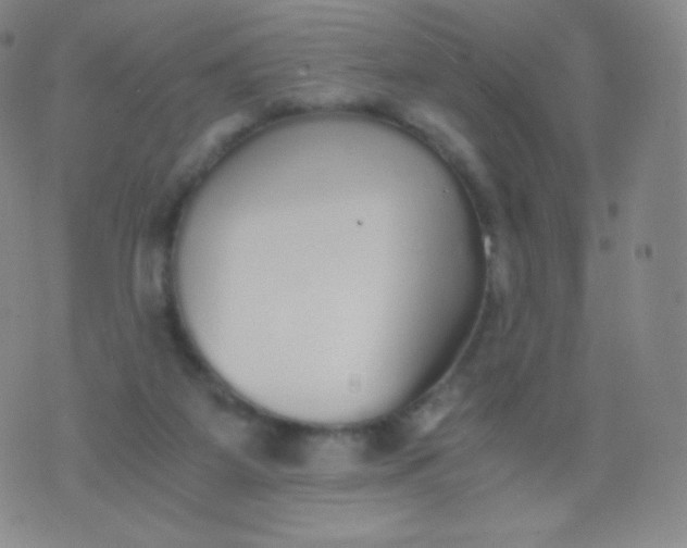 X0000076250115200610122215