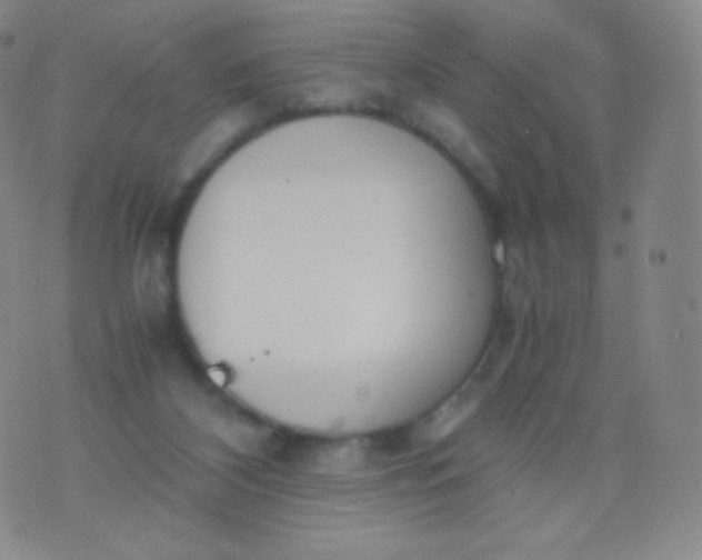 X0000076250116200610122215