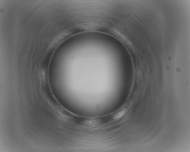 X0000076250117200610122215