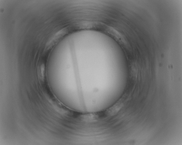 X0000076250118200610122215