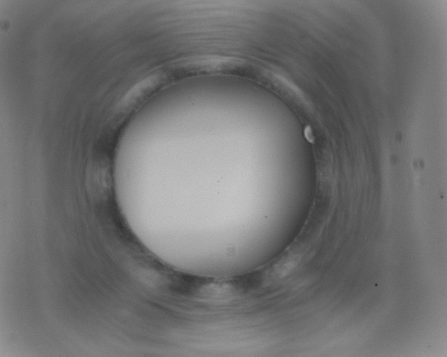 X0000076250119200610122215