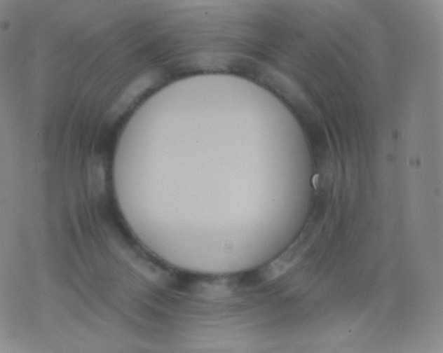 X0000076250120200610122215