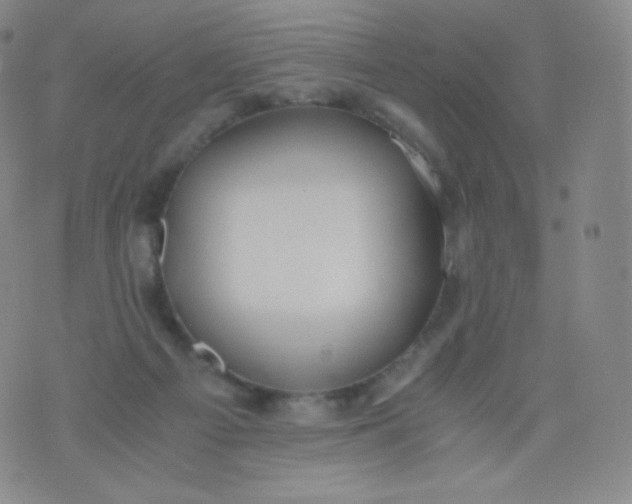 X0000076250121200610122215