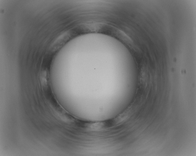 X0000076250122200610122215