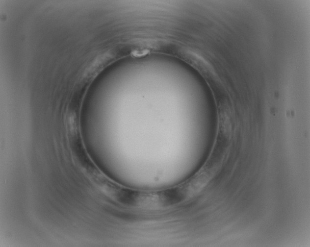 X0000076250123200610122215