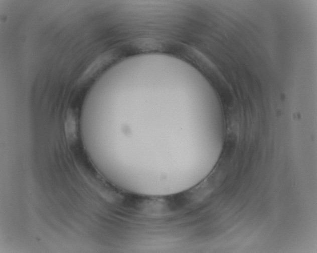 X0000076250124200610122215