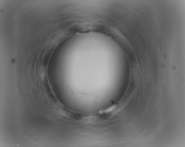 X0000076250125200610122215