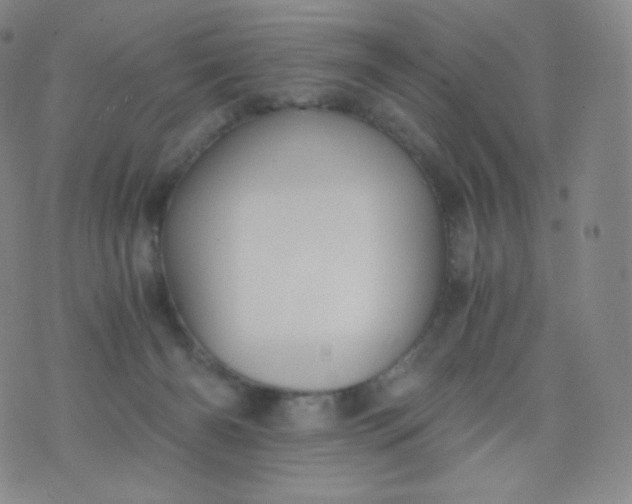 X0000076250126200610122215