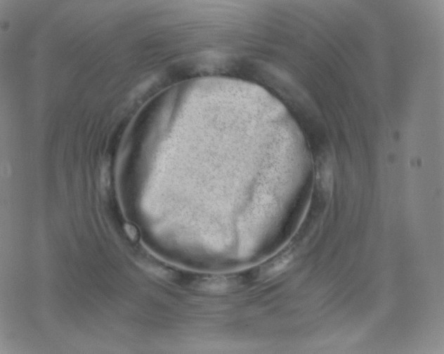 X0000076250127200610122215