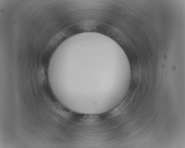 X0000076250128200610122215