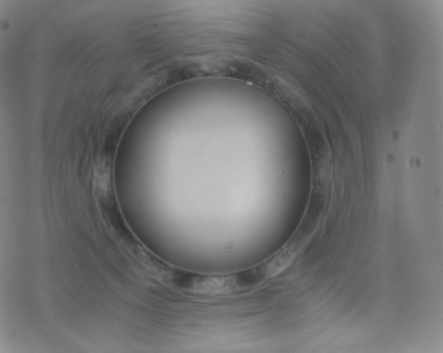 X0000076250129200610122215