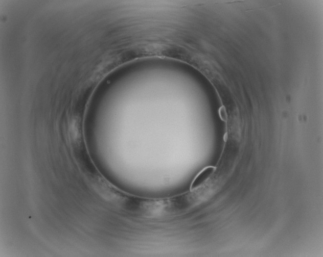 X0000076250131200610122215