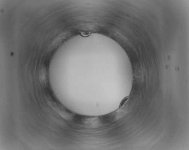 X0000076250132200610122215