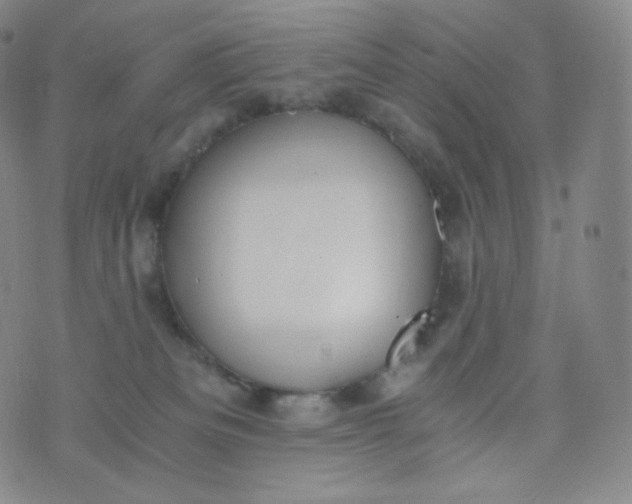 X0000076250133200610122215