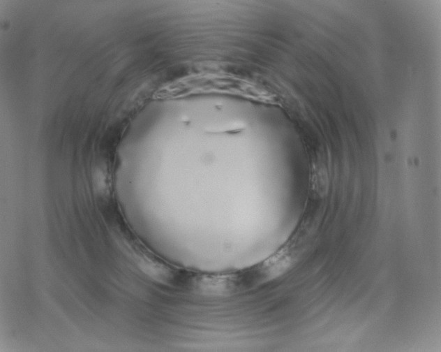 X0000076250134200610122215