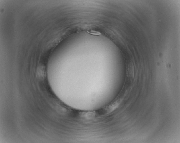 X0000076250135200610122215