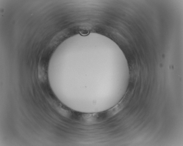 X0000076250136200610122215