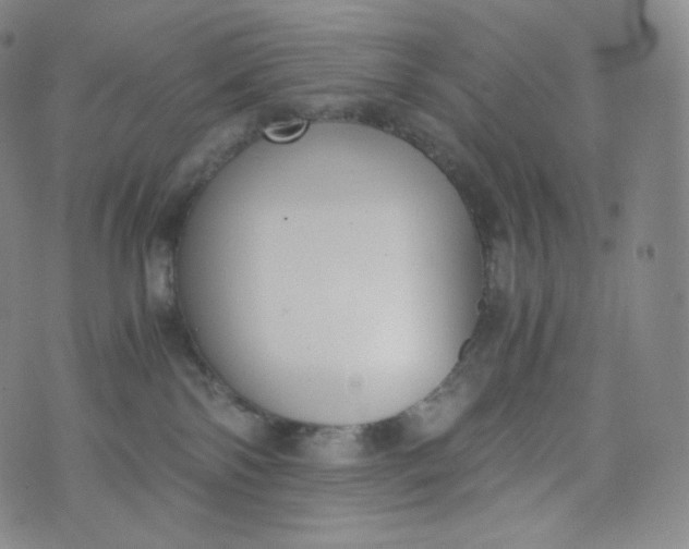 X0000076250138200610122214