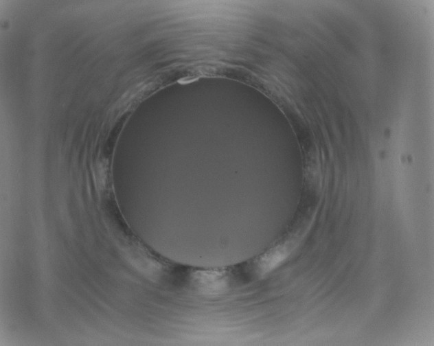 X0000076250139200610122214