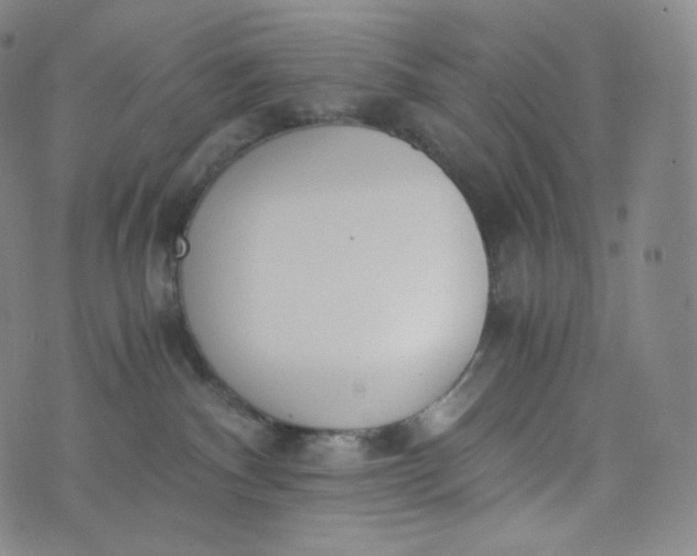 X0000076250140200610122214