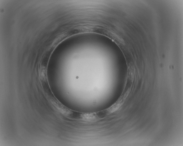 X0000076250141200610122214