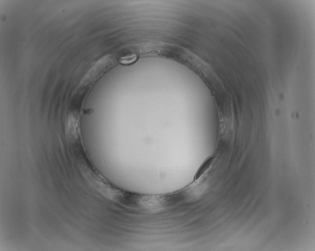 X0000076250142200610122214