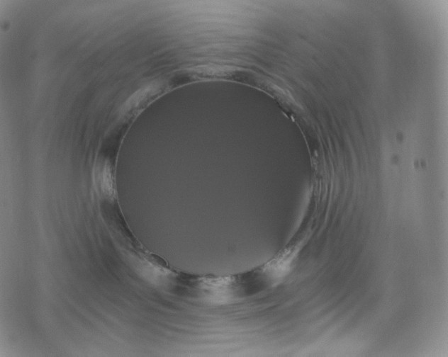 X0000076250143200610122214