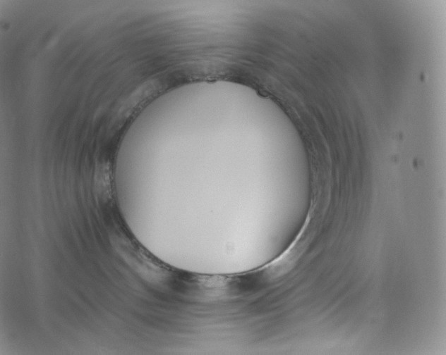 X0000076250144200610122214