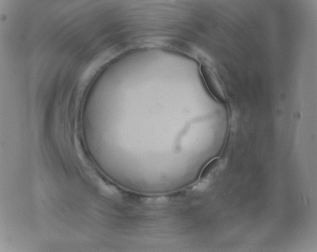 X0000076250145200610122214