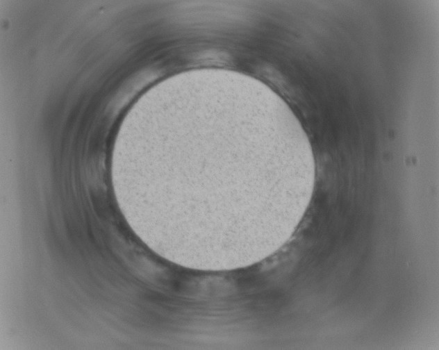 X0000076250146200610122214