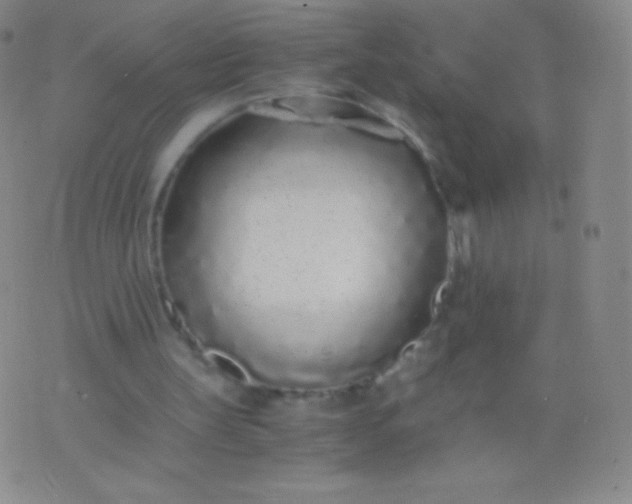 X0000076250147200610122214