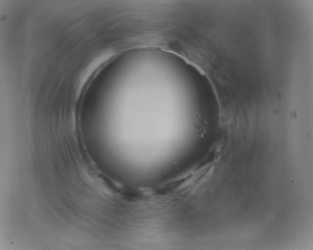 X0000076250148200610122214