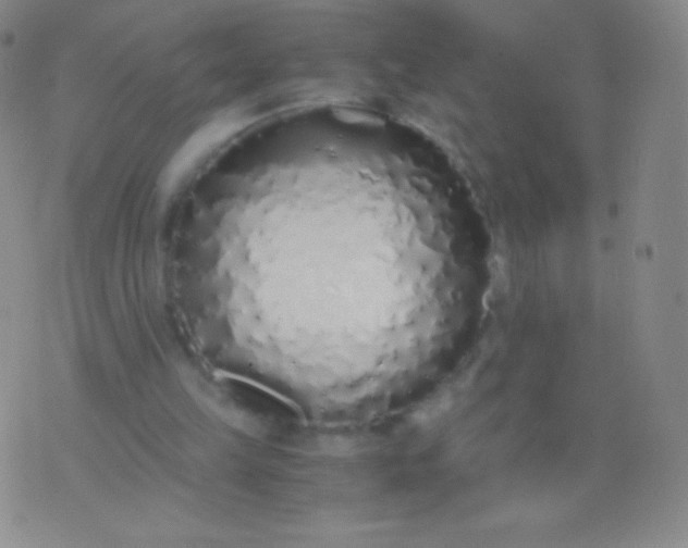 X0000076250149200610122214