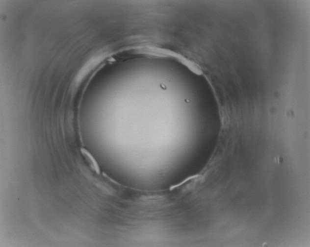 X0000076250150200610122214