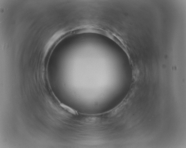 X0000076250152200610122214