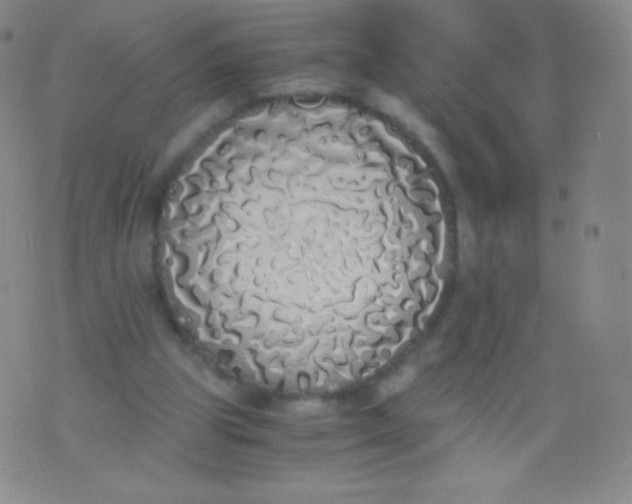 X0000076250153200610122214