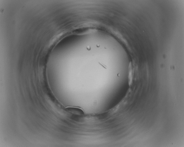 X0000076250154200610122214