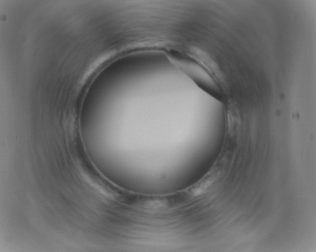 X0000076250156200610122214