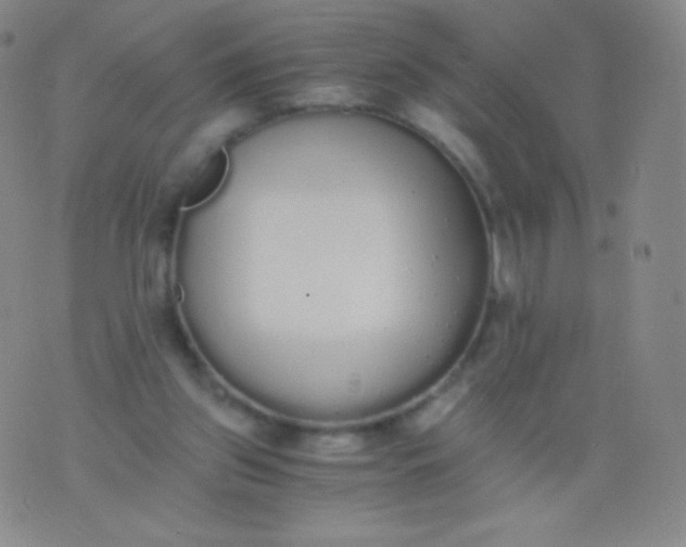 X0000076250157200610122214