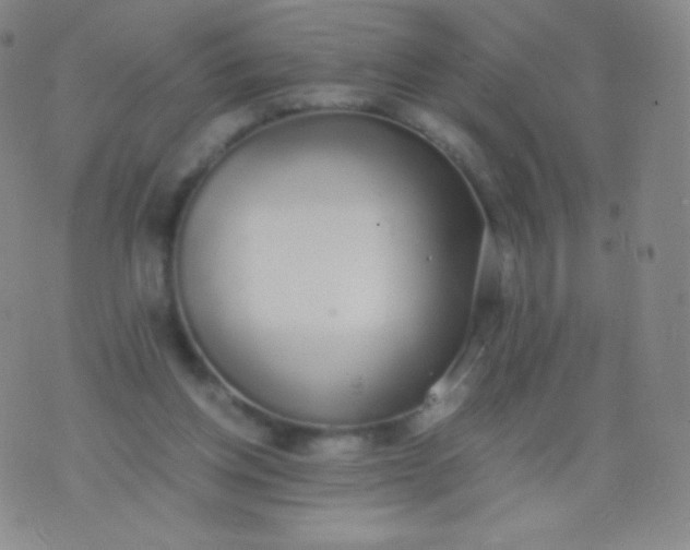 X0000076250158200610122214