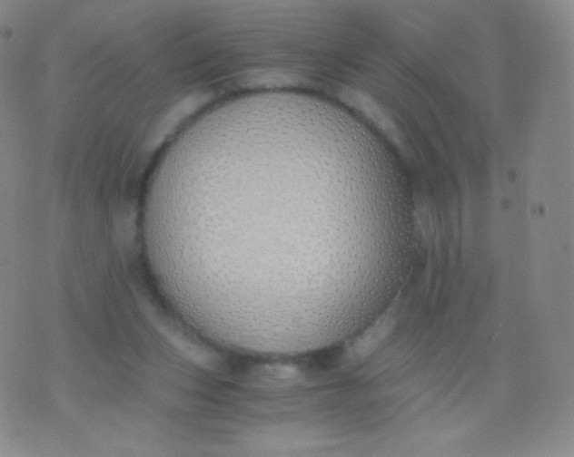 X0000076250159200610122214