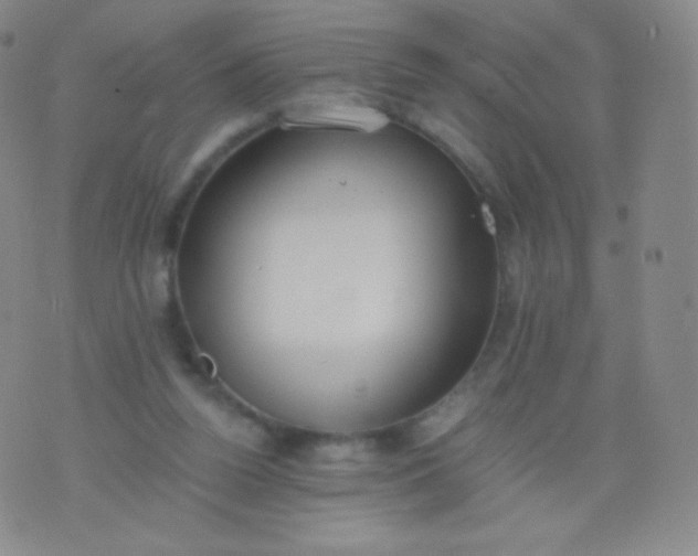 X0000076250160200610122214