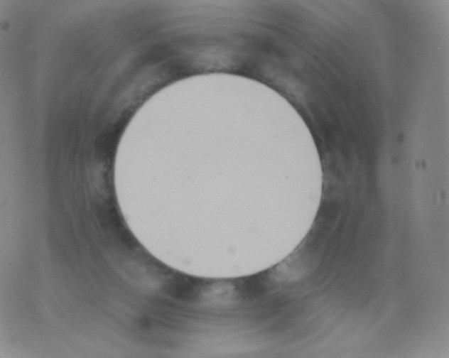 X0000076250162200610122214